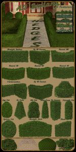 Bryce Download - Landscaping Hedges
