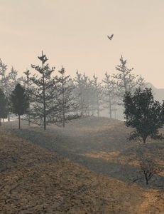 Bryce Download - Trees for the Forest